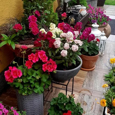 Dana Ubytovanie v rodine